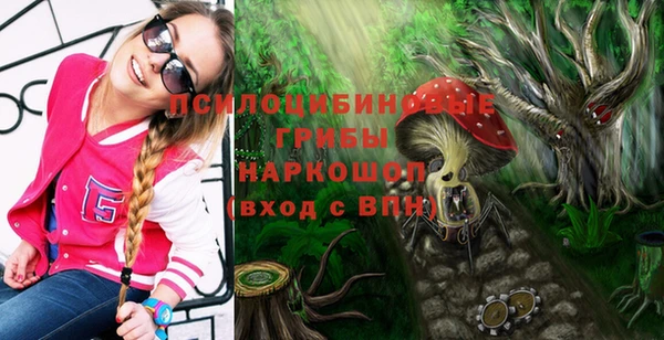 стаф Баксан