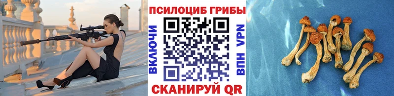Галлюциногенные грибы Cubensis  цена   Шиханы 
